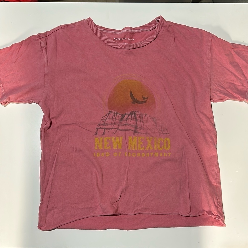 EUC American Eagle Cropped Tee, Size XS “New Mexico”